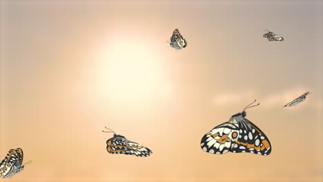 butterflies gracefully flying against a bright sky