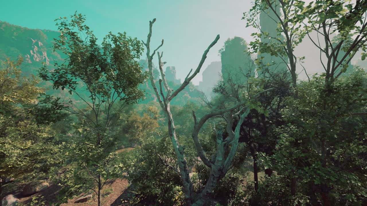 울창 한 초록색, 은 산 들, 그리고 안개 가 가득 한 분위기 를 가진 조용 한 숲 풍경