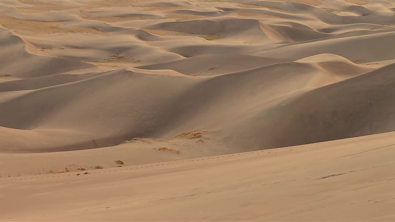 Colline sabbiose e dune scolpite nel Parco Nazionale delle Grandi Dune di Sabbia, Colorado, USA