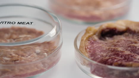 meat samples in petri dishes