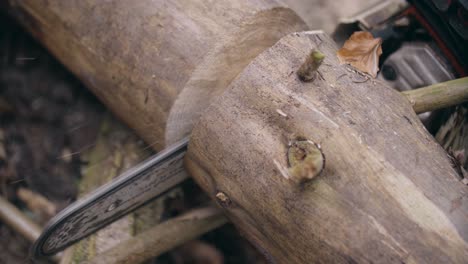 chainsaw cuts the log without bark