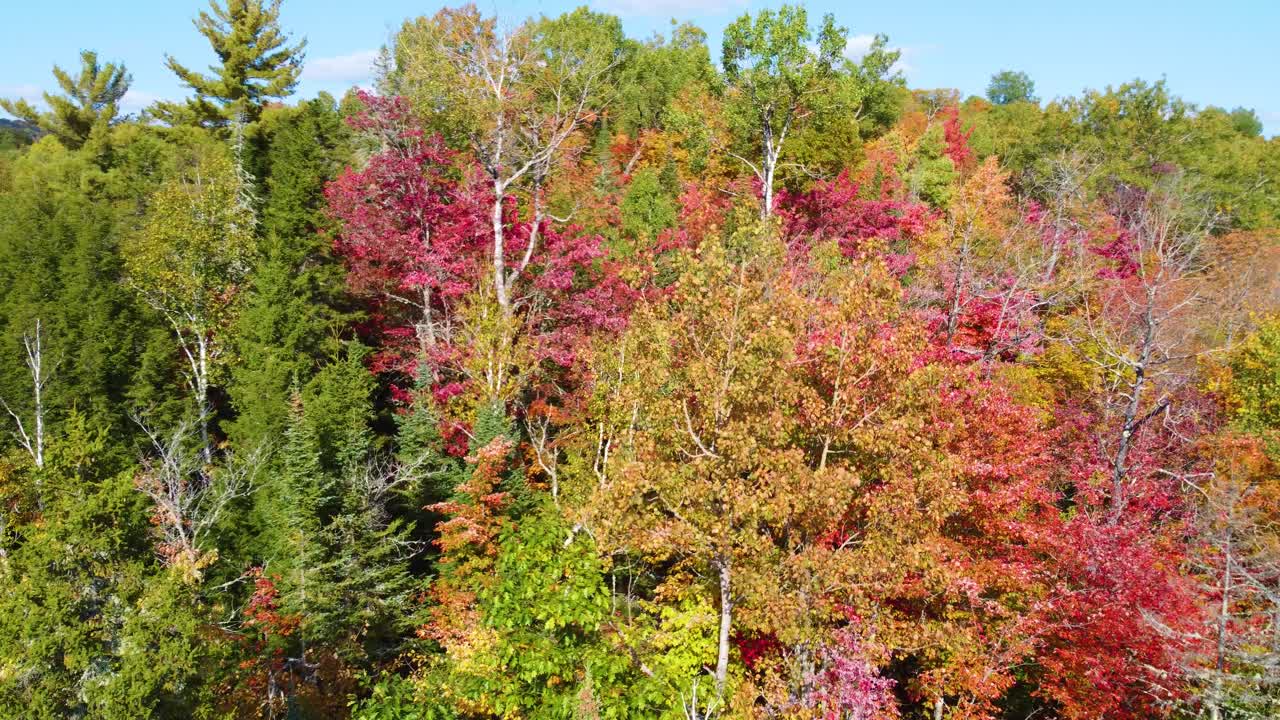 아름다운 가을 색 ⁇ 이 밝은 색 ⁇ 의 가을 세상에서 완전히 보여집니다.