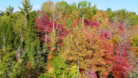 beautiful fall colors on full display in a brightly colored world of autumn