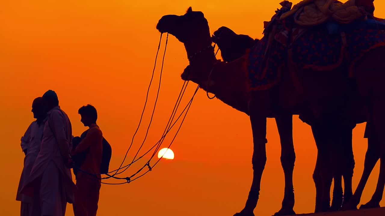 cameleros, conductores de camellos al atardecer. el desierto de thar al atardecer jaisalmer, rajasthan, india.