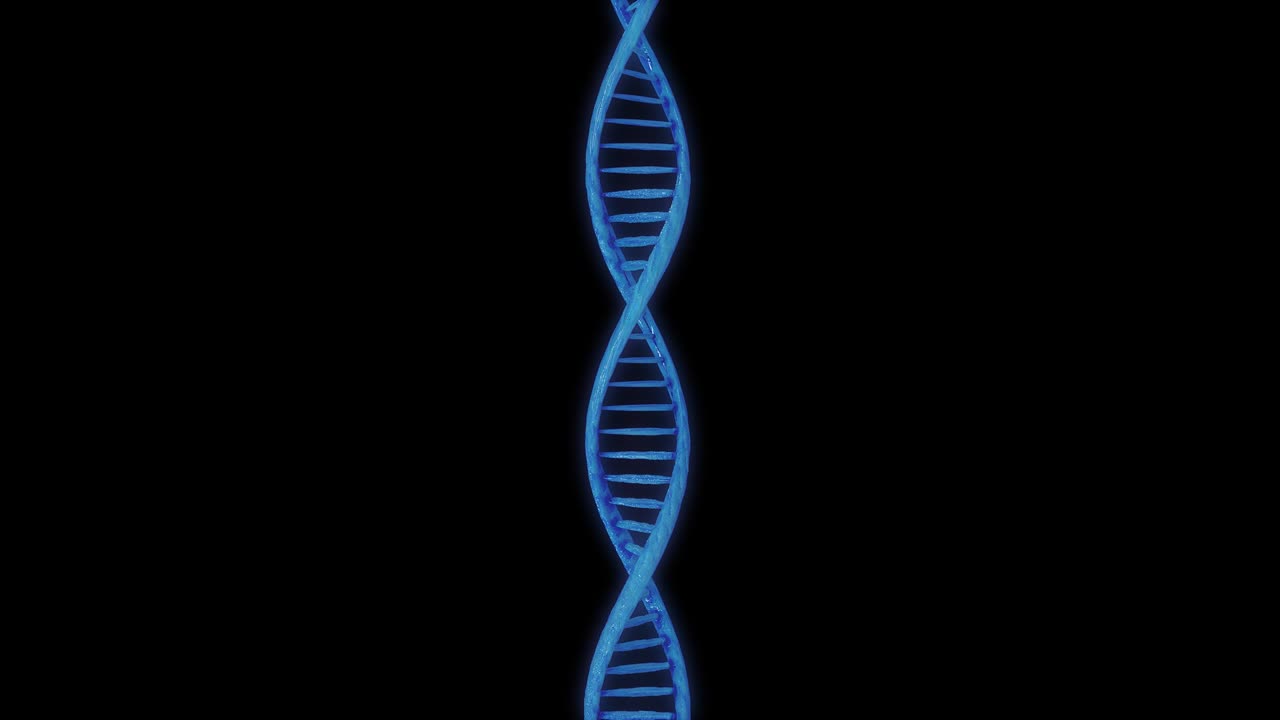 DIGITAL DNA