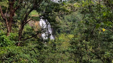 glimpse of devon falls waterfall through green trees in the highlands of sri lanka