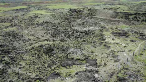 Erleben-Sie-Die-Widerstandsfähigkeit-Der-Natur,-Wenn-Die-Widerstandsfähige-Vegetation-In-Der-Rauen-Wüstenumgebung-Am-Leben-Bleibt,-Neigen-Sie-Sich-Nach-Vorne-Mit-Gieren-Nach-Links-Und-Kardanischer-Bewegung