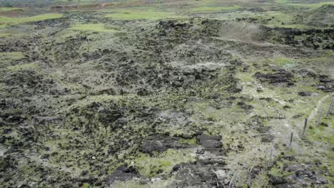 sea testigo de la resiliencia de la naturaleza mientras la vegetación resistente se aferra a la vida en medio del duro entorno desértico, avance con giro a la izquierda y movimiento de gimbal