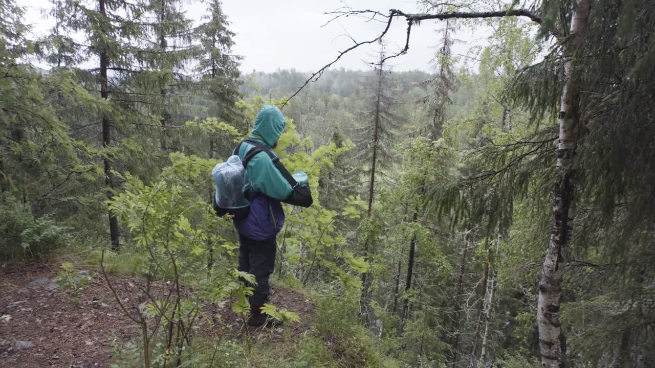 열대 우림 의 산책자 들