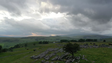 Drone-flight-towards-and-over-a-windswept-hawthorn-tree-in-limestone-pavement-rising-to-look-at-the-sunset