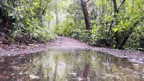 Las-Gotas-De-Lluvia-Caen-En-Un-Charco-De-Lodo-Cerca-De-Las-Cataratas-De-Linville-Nc,-Carolina-Del-Norte