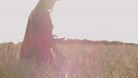 Young-woman-farmer-in-wheat-field-on-sunset-background.-A-girl-plucks-wheat-spikes-then-uses-a-tablet.-The-farmer-is-preparing-to-harvest