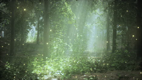 enchanted forest with fireflies