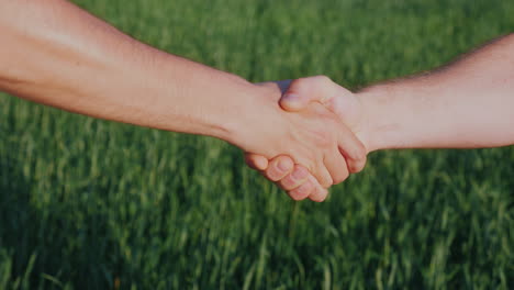 Two Farmers Shake Hands Against The Background Of A Green Wheat Field Deal In Agribusiness Concept 4