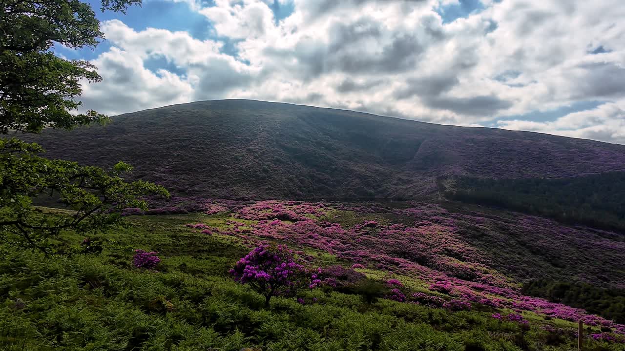 irlanda lugares épicos luz de mal humor en las montañas hermosos paisajes montañas en waterford temprano en la mañana en verano