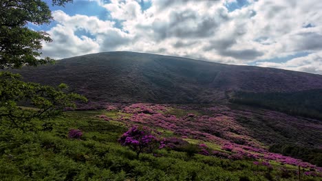 Irlanda-Lugares-épicos-Luz-Cambiante-En-Las-Montañas-Hermoso-Paisaje-Montañas-En-Waterford-Temprano-En-La-Mañana-En-Verano