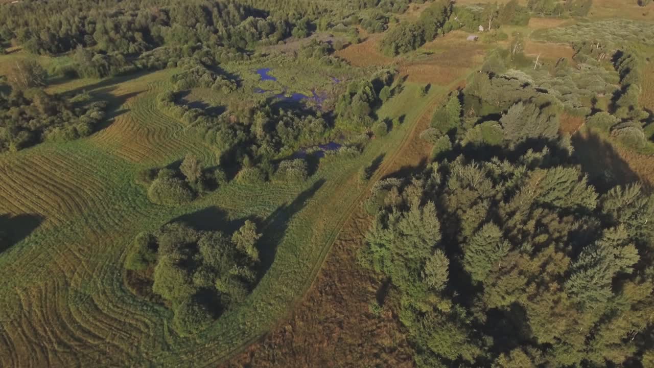 zona pantanosa en un día soleado de verano