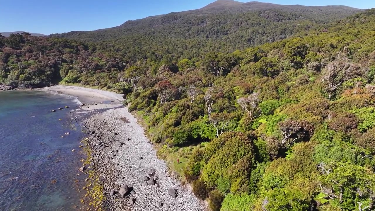 Fugleperspektiv af Rakiura Islands fjerntliggende kystlinje med tropisk vegetation. New Zealand.