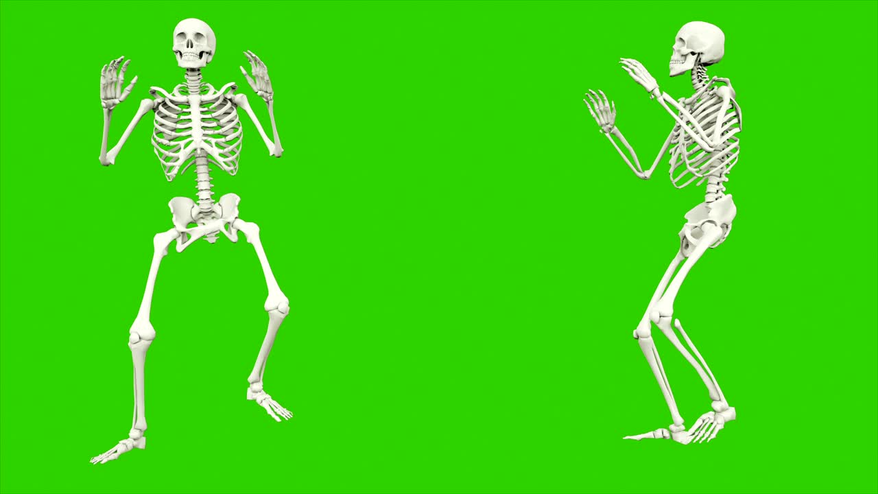 camino del esqueleto. animación de bucle sin costuras en pantalla verde.