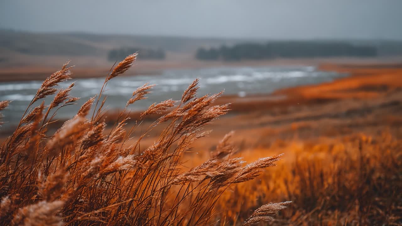 Et fredfyldt efterårslandskab: Gyldne græsser svajer blidt nær en fredelig flod under en dyster himmel i det sene eftermiddagslys