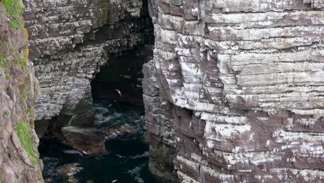 vista de una impresionante colonia de aves marinas en la gran pila marina de la isla de handa en el profundo océano verde azulado, cubierta de miles de araos reproductores, gaviotas tridáctilas, frailecillos y razorbills