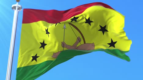 guna yala province flag, panama. loop