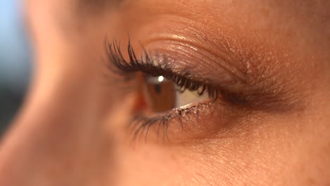 primer plano del ojo de una mujer joven y atractiva en un día dorado y soleado: claridad, belleza, salud, logros, esperanza, perspectiva
