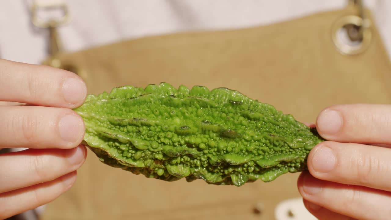 Bitter Melon in Hands