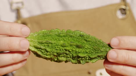 bitter melon in hands