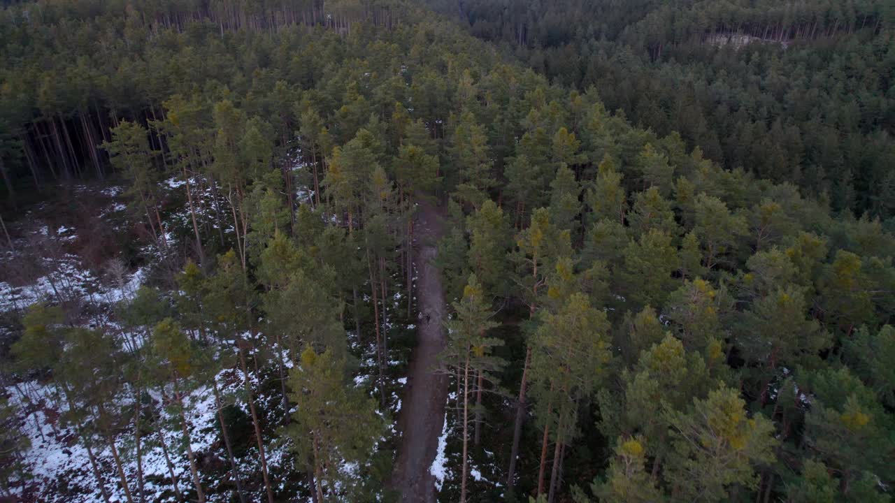 Droonin yläkuva: Panorointi mäntymetsän yllä, tie ja lumi talvisessa Tšekissä.