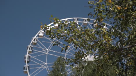 ferris wheel in a park