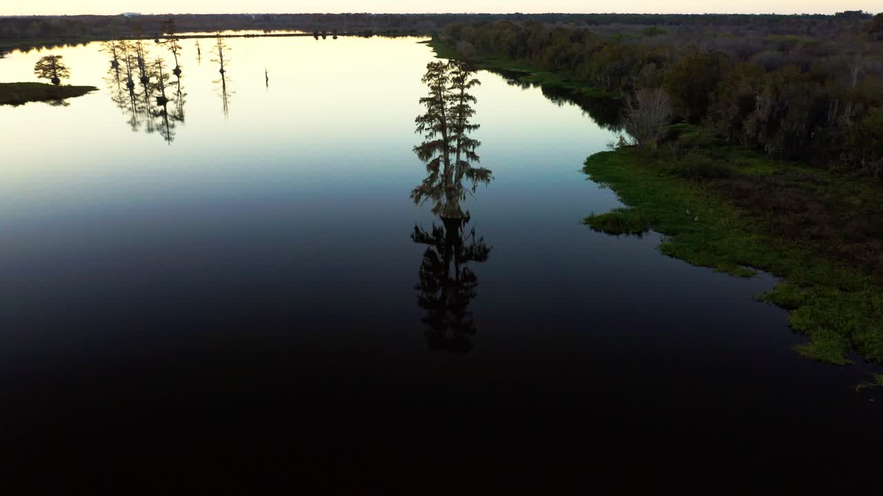 A lone tree stands in the still waters of Lake Hancock, creating a mirror-like reflection. Ideal for nature documentaries or serene landscape features