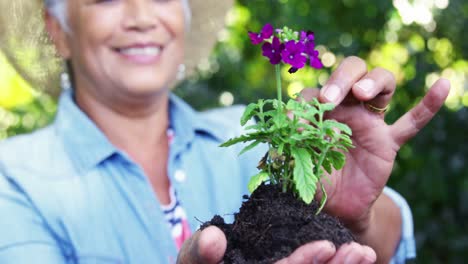 mujer mayor sosteniendo una planta