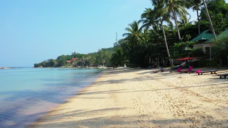 Peaceful-empty-sandy-beach-with-tall-palms-and-perfectly-calm-sea