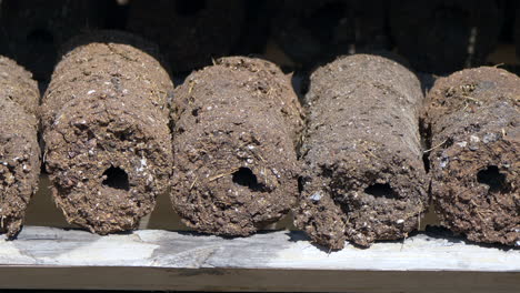 Close-up-shot-of-dried-cow-dung-for-burning-lighting-in-sun-on-farm---panning-shot