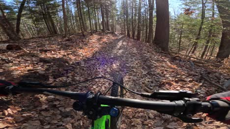 mtb pov pedaleando casualmente a lo largo del borde del barranco en el soleado sendero forestal de otoño