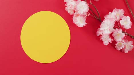 video of close up of cherry blossom and yellow circle on red background