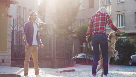 young blond charming woman playing with a labrador dog and making it jump high while her boyfriend watching