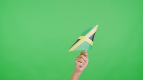 hand waving a pennant of a jamaican national flag