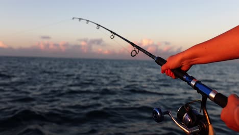 hand holding a fishing rod at sunset over the ocean