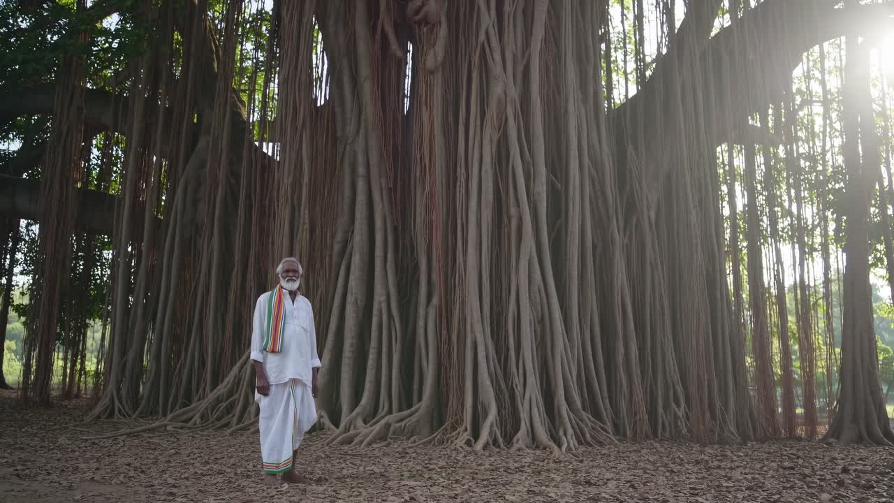 Elderly man in traditional attire walks gracefully beneath a majestic banyan tree, showcasing the beauty of nature and cultural heritage in a serene environment