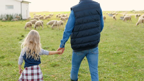 vista trasera del padre caucásico caminando de la mano con una hija pequeña en campo verde con rebaño de ovejas