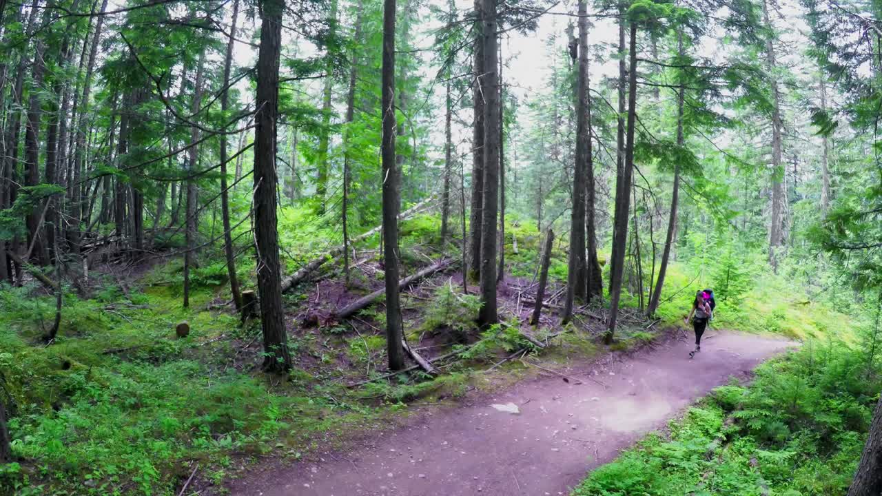 madre llevando al bebé en una mochila mientras camina por el bosque 4k