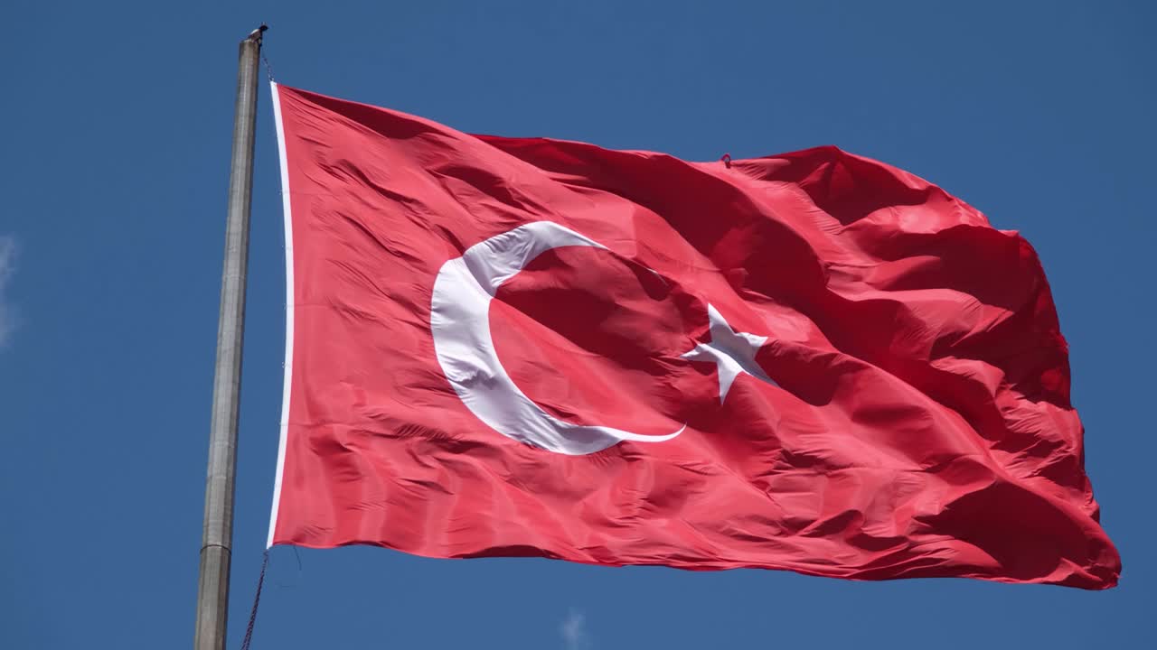 터키 발이 파란 하늘 앞에 흔들리고 있습니다.