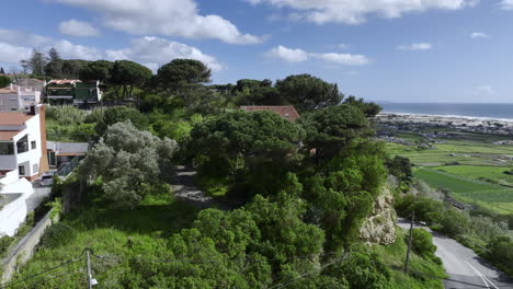 una casa en una colina cubierta de árboles balanceándose en el viento