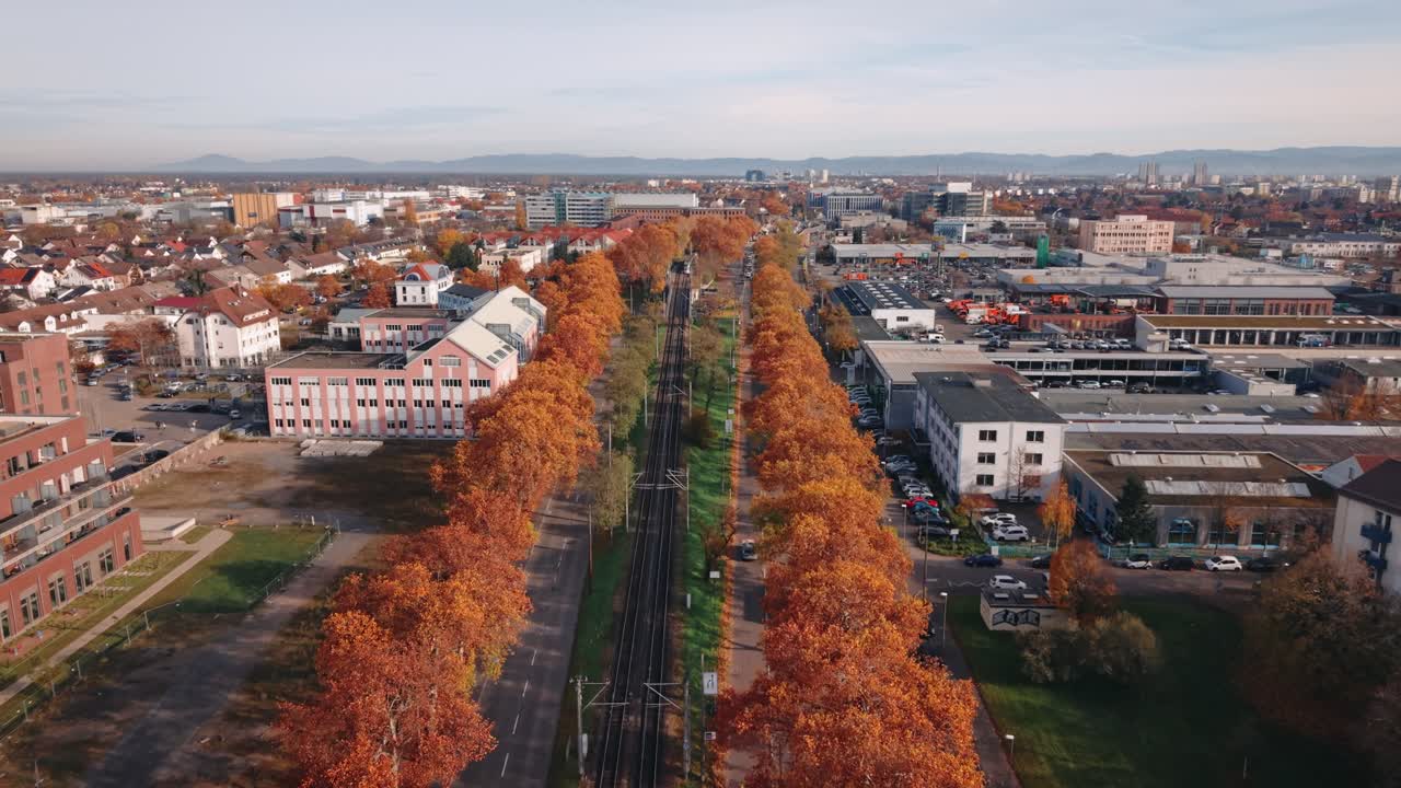 Cinematic Aerial View of Autumn Avenue with Tram Tracks and City Skyline in Mannheim Germany