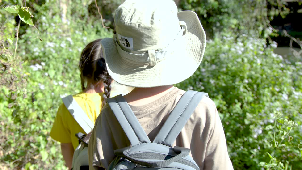 A boy and girl hike through lush greenery, pointing at nature under bright daylight