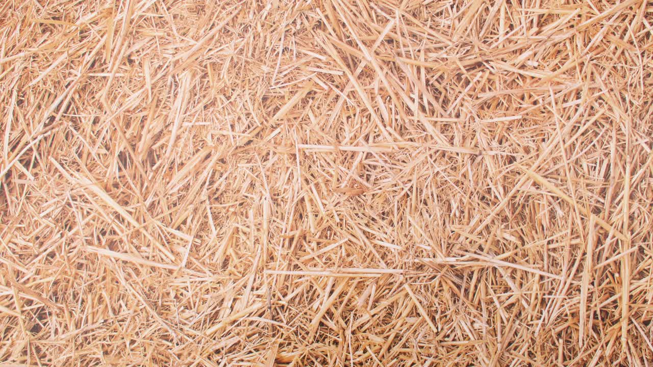 Fresh eggs appear in circle on straw theme. Stop motion