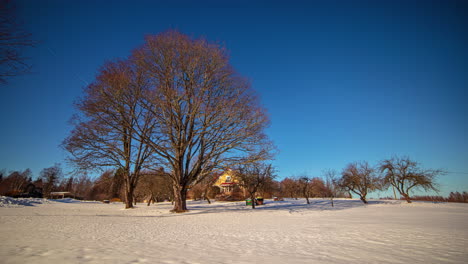 Bare-trees-in-blue-sky-with-house-in-background-in-snowy-landscape