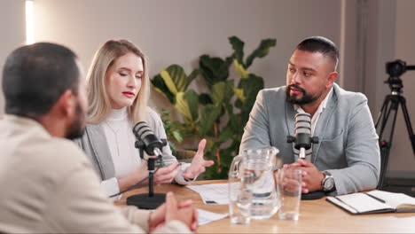 podcast interview session